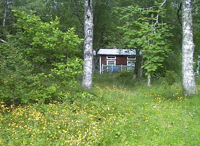 Wirstr�mska huset  (Foto: Qrt)